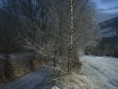 /album/fotogaleria-foto-okolie/phto0005-jpg/